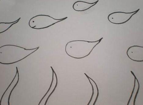 蝌蚪的简笔画图片大全 蝌蚪简笔画图片大全彩色