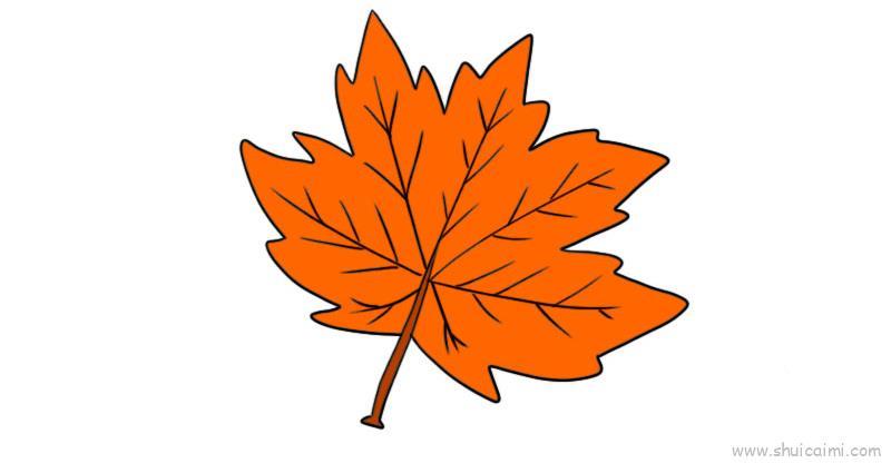 梧桐树叶儿童画怎么画 梧桐树叶简笔画图片