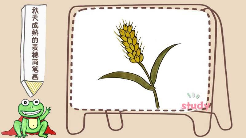 麦穗怎么画 麦穗边框图案大全