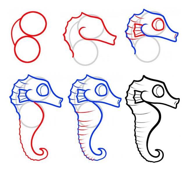 海马简笔画 海马简笔画图片带颜色