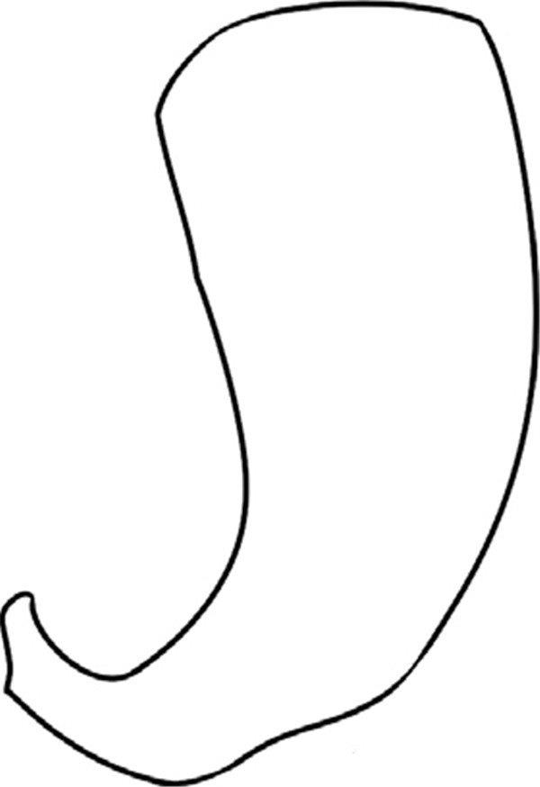 尖尖的辣椒画法简笔画怎么画 尖尖的辣椒画法简笔画画法