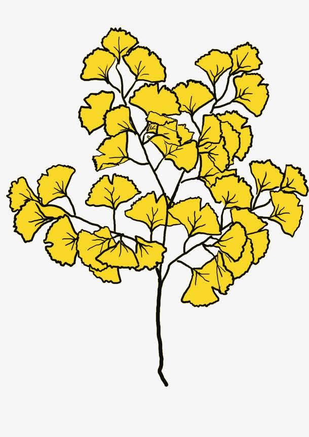 银杏树叶简笔画 银杏树叶简笔画图片