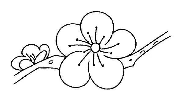 桃花简笔画 桃花简笔画简单又好看