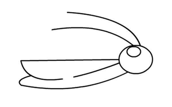 昆虫类简笔画儿童图片大全 儿童简笔画昆虫