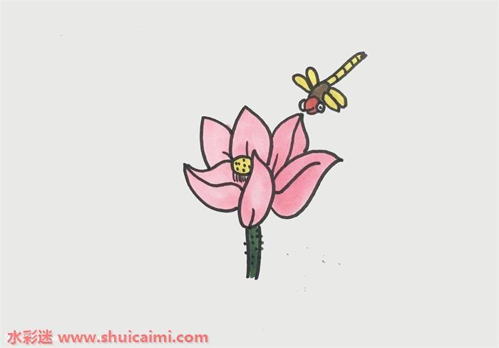 荷花上的蜻蜓怎么画 荷花上的蜻蜓简笔画简单好看带颜色