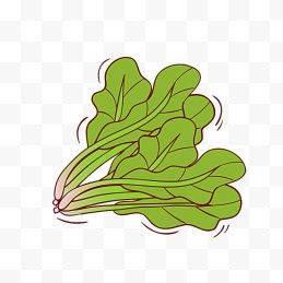 菠菜简笔画 菠菜简笔画图片带颜色