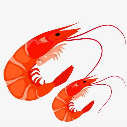 虾简笔画 虾简笔画儿童画