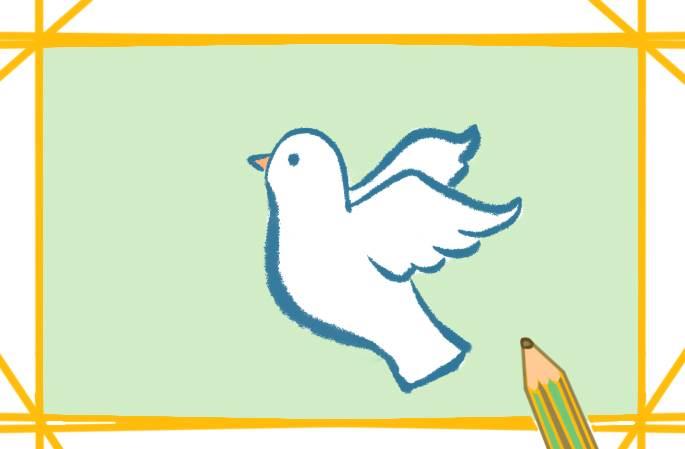 信鸽简笔画 和平信鸽简笔画