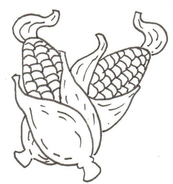 玉米的简笔画怎么画 玉米的简笔画简单又好看
