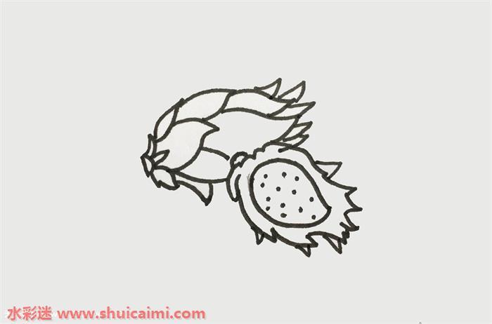 火龙果怎么画 火龙果简笔画图片大全彩色