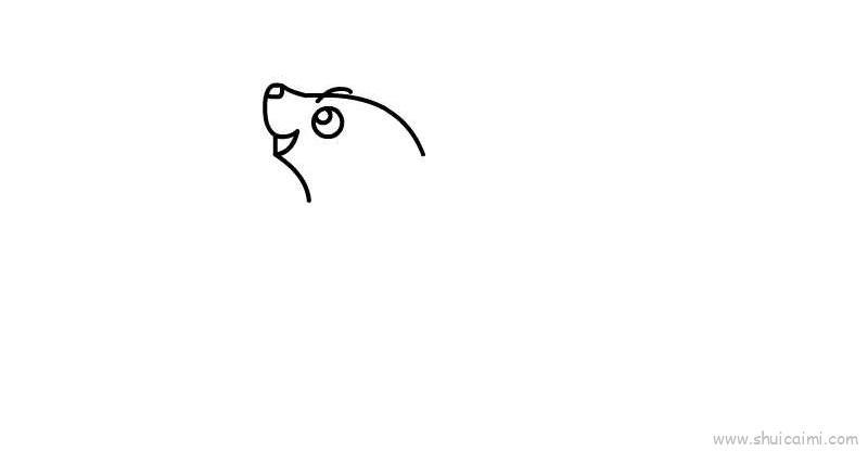 小海豹儿童画怎么画 小海豹简笔画步骤