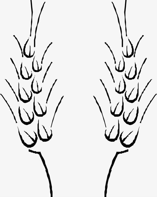 麦穗怎么画 麦穗边框图案大全