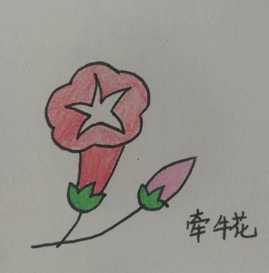 花花简笔画图片大全 可爱小花简笔画图片