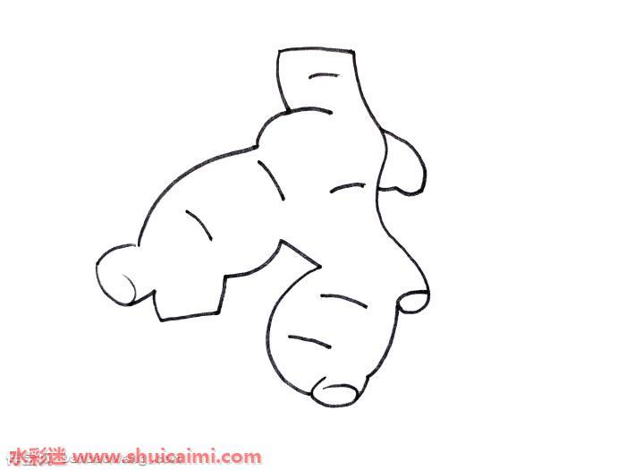 生姜怎么画 生姜简笔画彩色