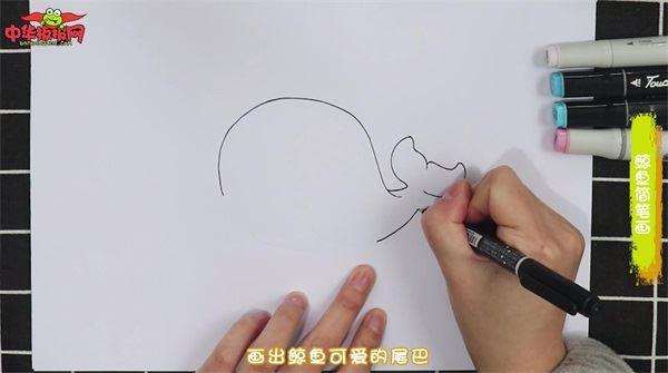 鲸鱼怎么画 鲸鱼简笔画简单彩色