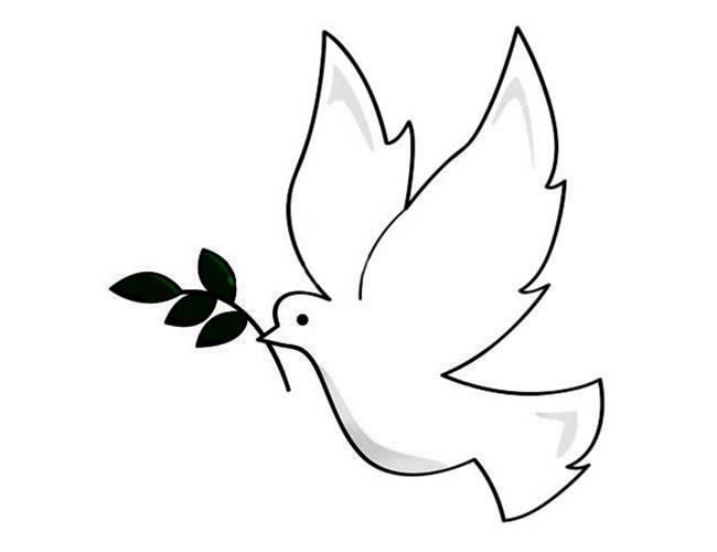 简笔画鸽子 简笔画鸽子涂色