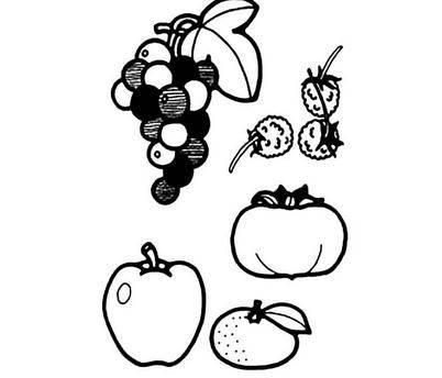 秋天的水果简笔画 秋天的水果简笔画幼儿