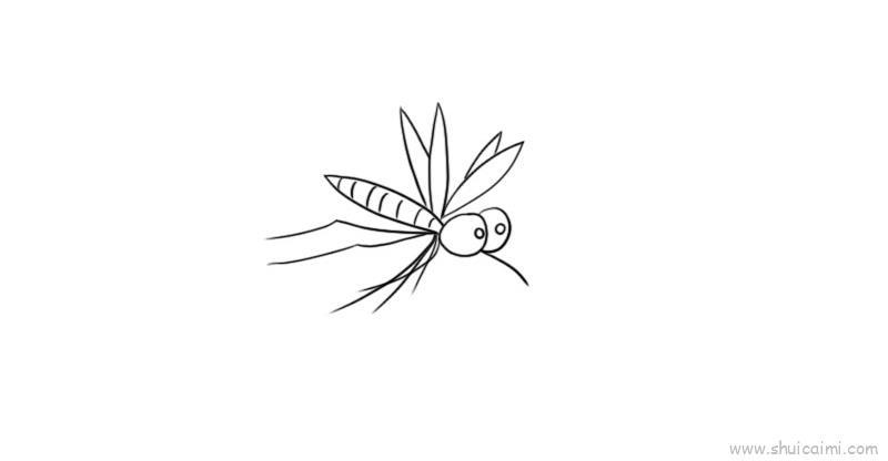 蚊子儿童画怎么画 蚊子简笔画图片