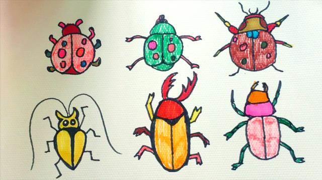 甲虫简笔画 金步甲虫简笔画