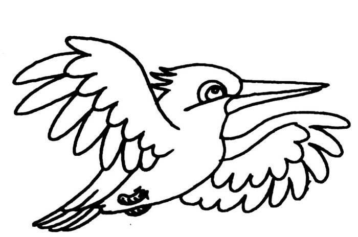 幼儿园画小鸟简笔画图片大全 小鸟的简笔画图片大全可爱 简单