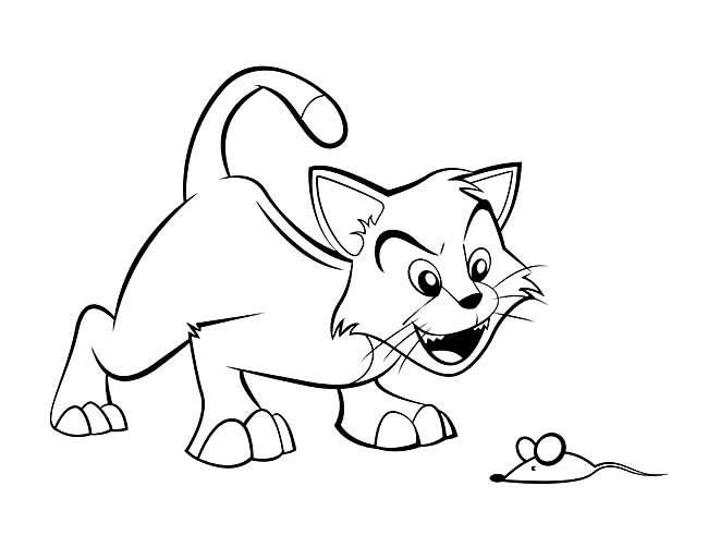 猫和老鼠简笔画 猫和老鼠简笔画图片