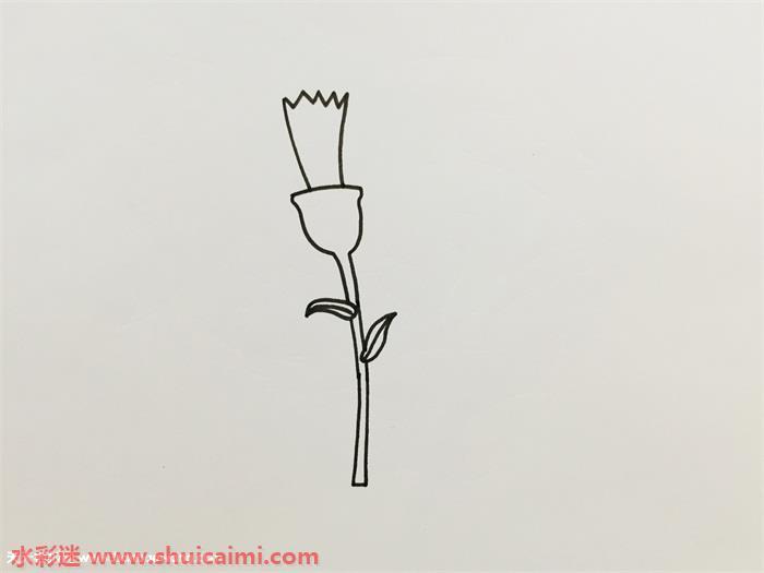 康乃馨怎么画 康乃馨简笔画简单又漂亮彩色