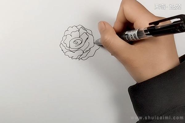 月季花简笔画怎么画 月季花简笔画简单又好看
