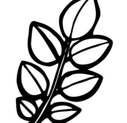 树叶简笔画 树叶简笔画简单又好看