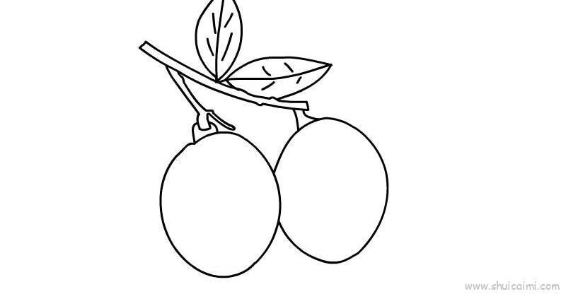 桂圆儿童画怎么画 桂圆简笔画简单又好看