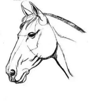 简笔画马 简笔画马的画法最简单