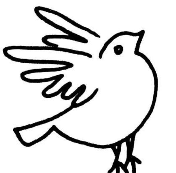 幼儿园画小鸟简笔画图片大全 小鸟的简笔画图片大全可爱 简单
