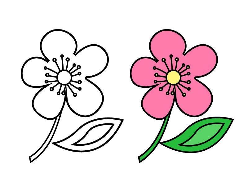 花简笔画 花简笔画简单漂亮