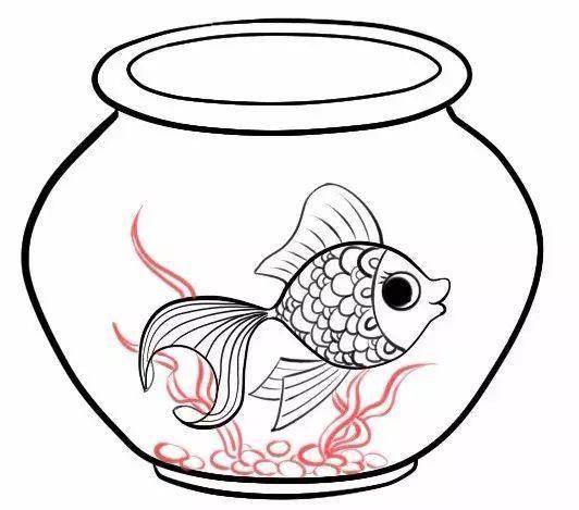 小金鱼简笔画 小金鱼简笔画彩色