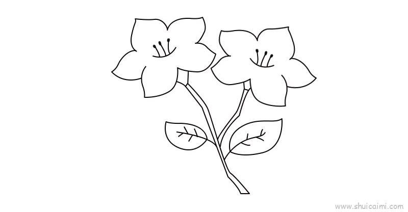 杜鹃花教程儿童画怎么画 杜鹃花教程简笔画简单又好看