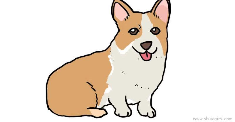 柯基儿童画怎么画 柯基简笔画画法