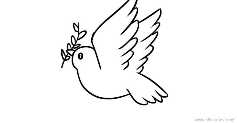 白鸽儿童画怎么画 白鸽简笔画简单又好看