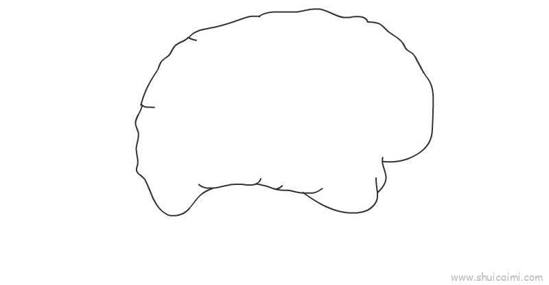 大脑儿童画怎么画 大脑简笔画图片