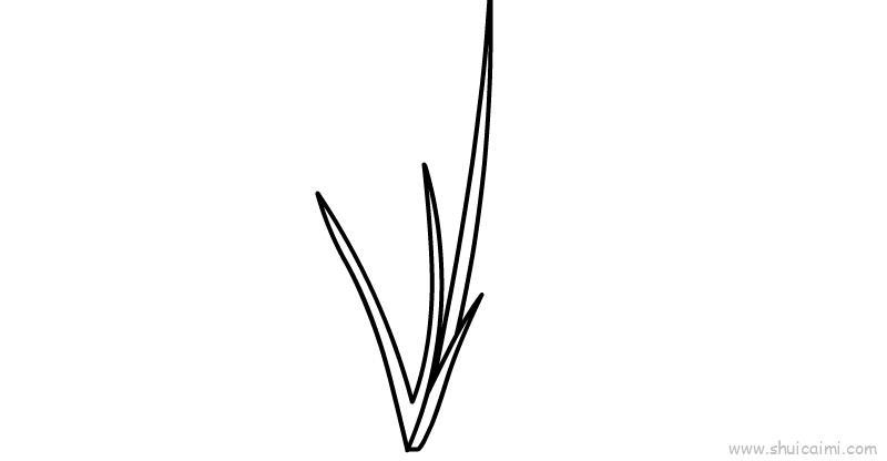 端午节菖蒲儿童画怎么画 端午节菖蒲简笔画步骤