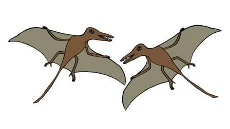 翼龙的简笔画图片大全 翼龙的简笔画图片大全可爱