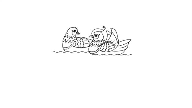 鸳鸯简笔画怎么画 鸳鸯简笔画步骤