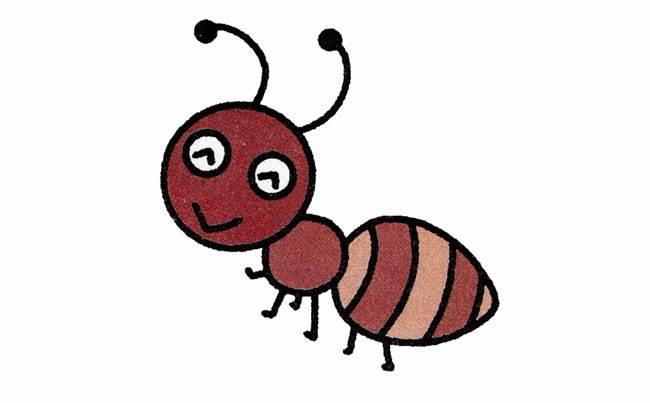 昆虫简笔画 昆虫简笔画大全带颜色