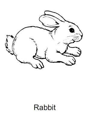 生肖邮票简笔画 生肖邮票简笔画怎么画