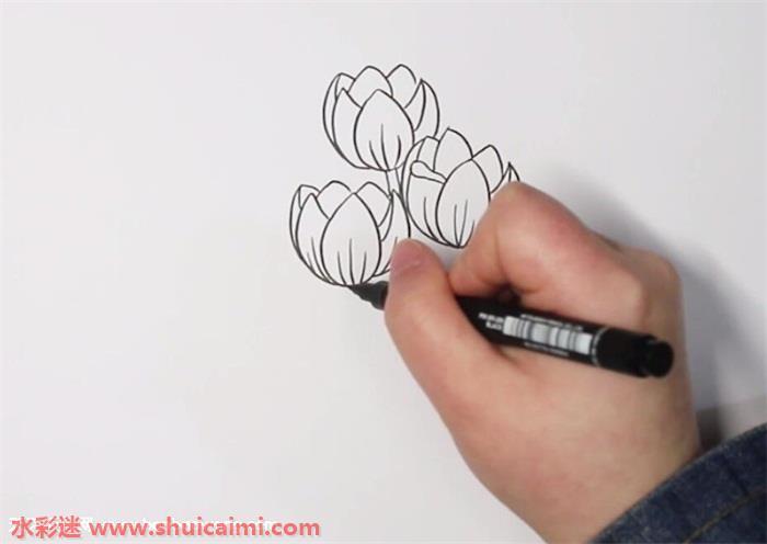 郁金香怎么画 郁金香简笔画简单彩色