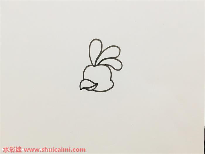 孔雀怎么画 孔雀简笔画彩色