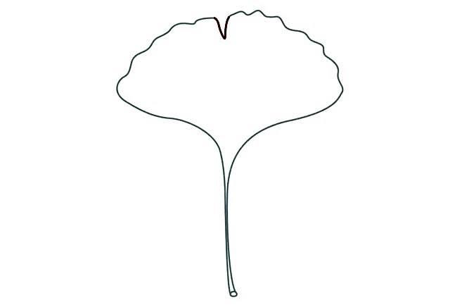 银杏叶简笔画 银杏树简笔画简单又好看