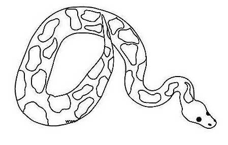 简笔画蛇 简笔画蛇图片