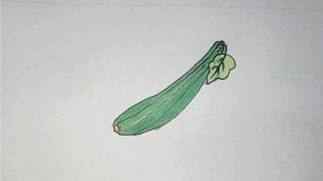 丝瓜简笔画 丝瓜简笔画图片带颜色