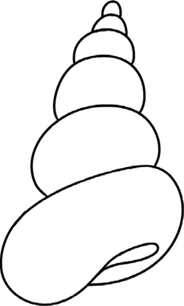 旋转的海螺的简笔画怎么画 旋转的海螺简笔画顺序