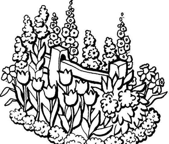 花园简笔画 花园简笔画儿童画