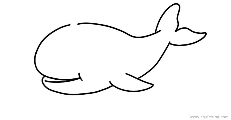 鲸儿童画怎么画 鲸简笔画步骤
